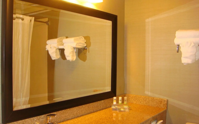 1 Bedroom Suite