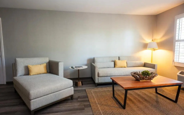 Suite