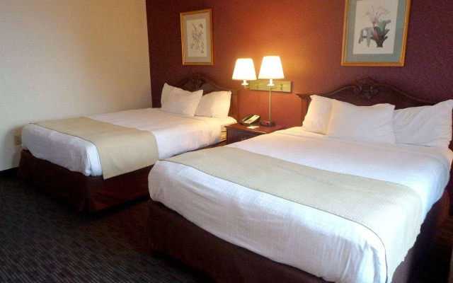1 Bedroom Quadruple Suite