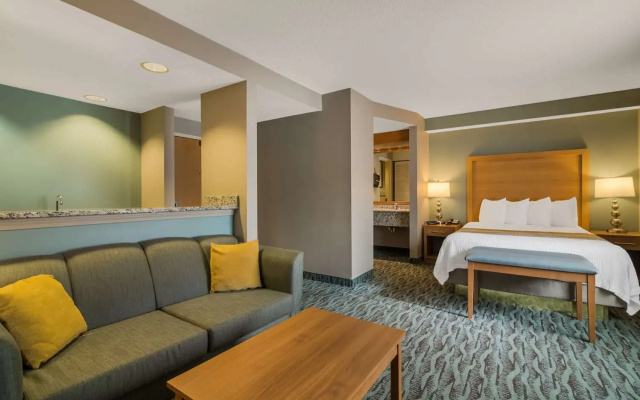 Double Mini Suite