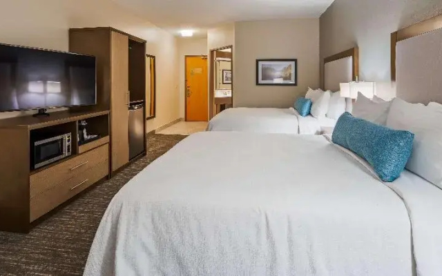 Standard Suite