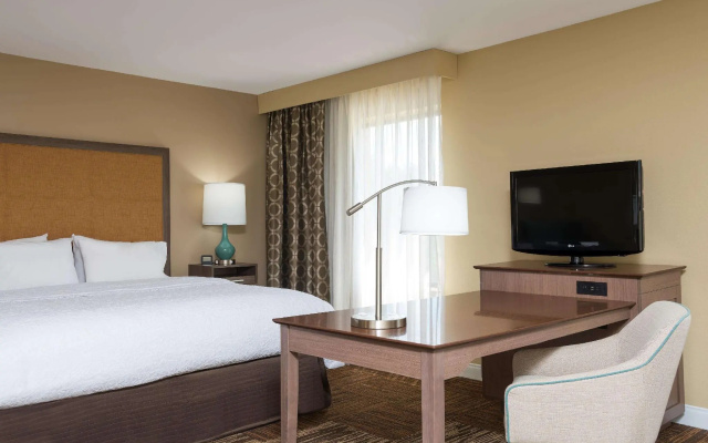 1 Bedroom Double Suite