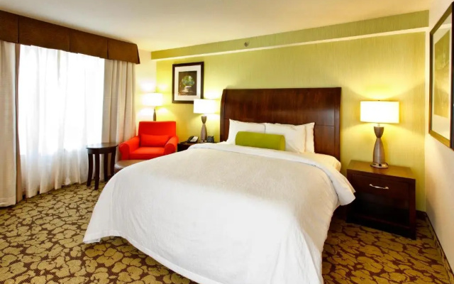 Double Junior Suite with Sofa Bed