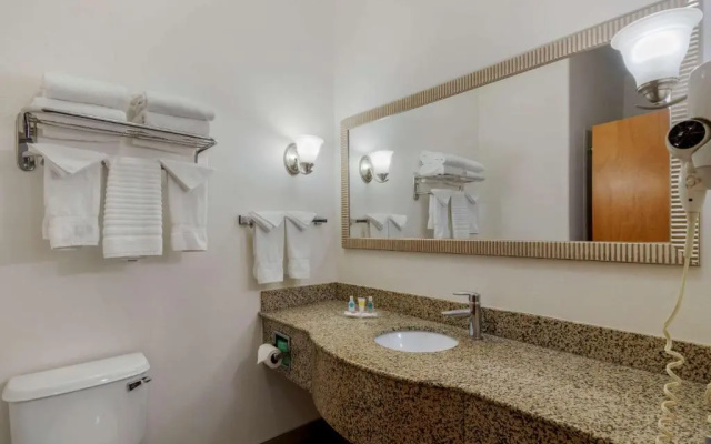Standard Suite