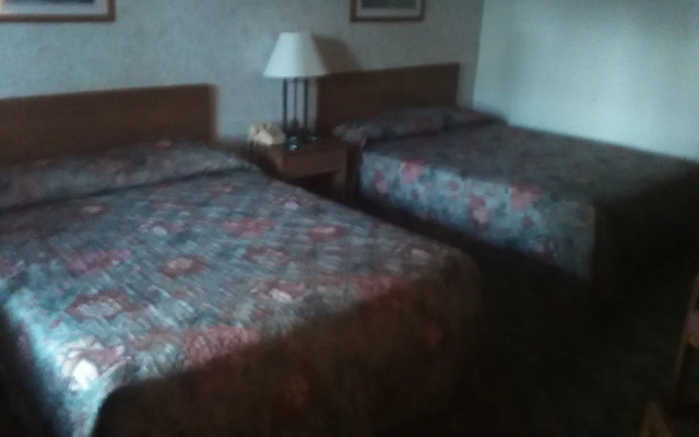 Premier Quadruple Basement room