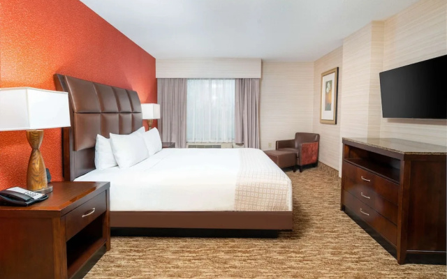 1 Bedroom Suite