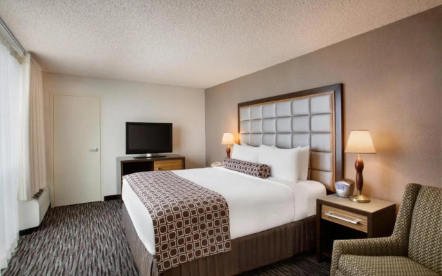 1 Bedroom Double Suite