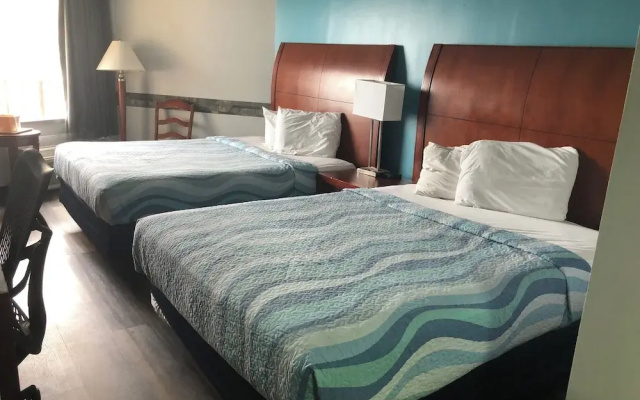 Deluxe Quadruple Studio with ocean view
