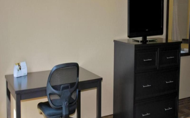 Standard Studio