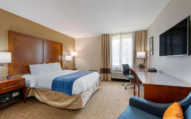 Standard Suite