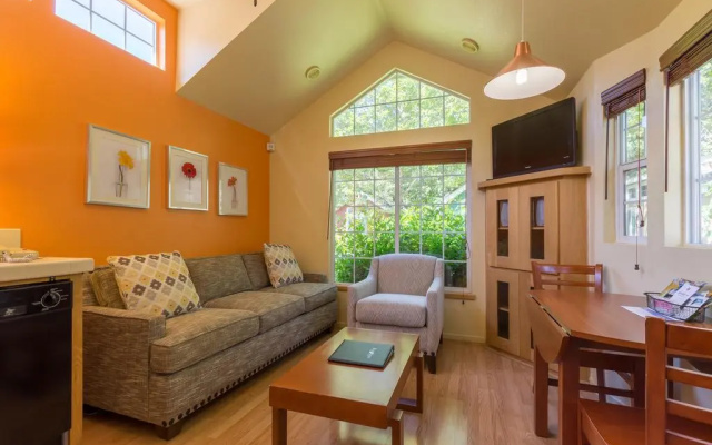 1 Bedroom Suite