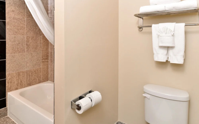 1 Bedroom Suite