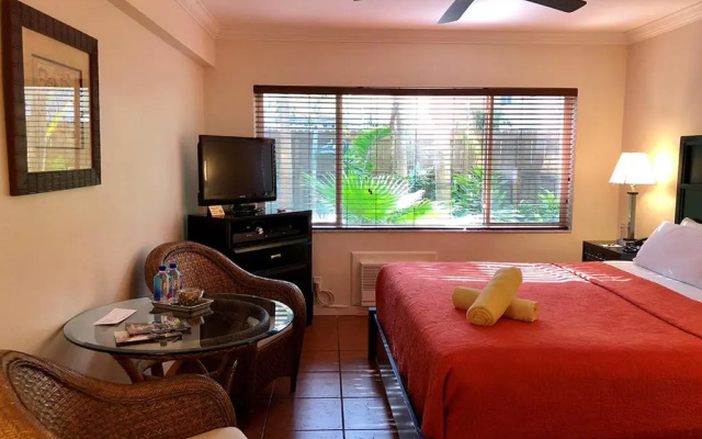 Studio with garden view