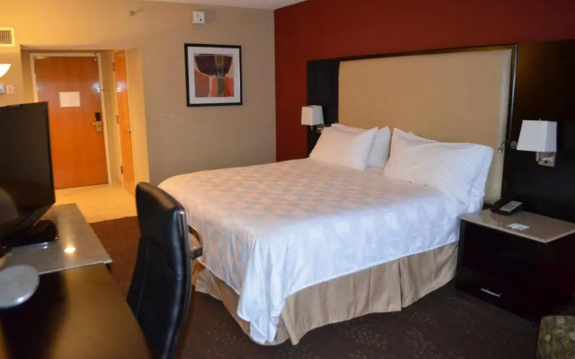 Executive Double room