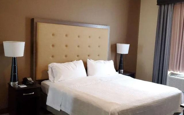 Standard Suite