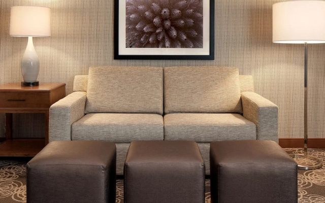 1 Bedroom Suite