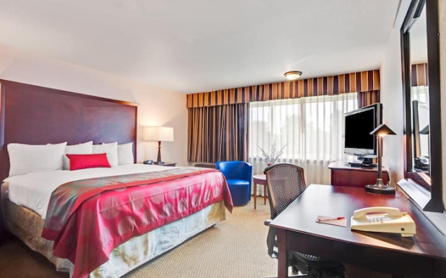 Executive Double room with river view