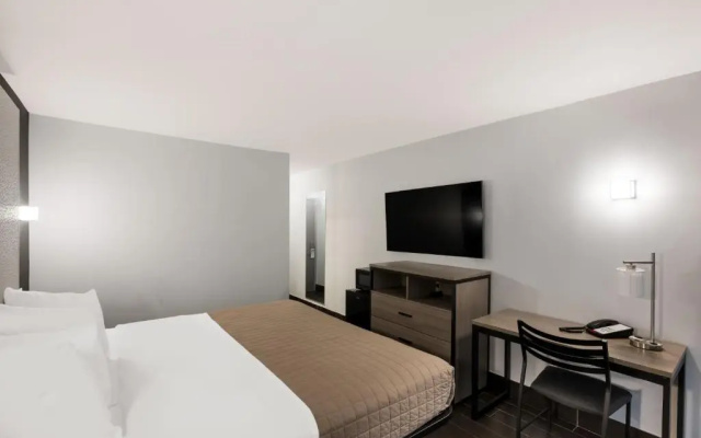 Deluxe King Double room