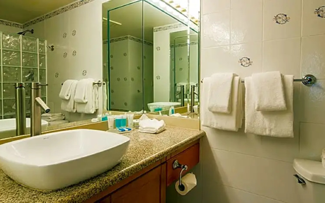 1 Bedroom Standard Suite