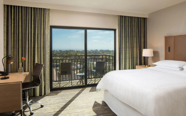 Premium Suite
