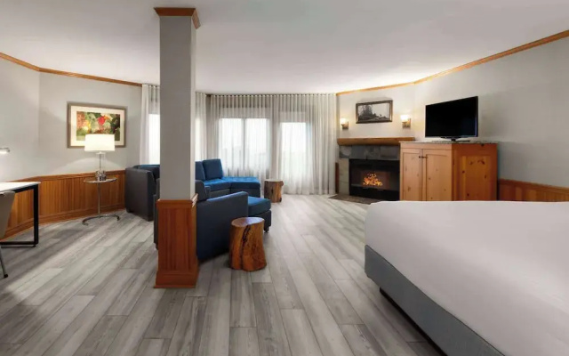 Luxury Suite
