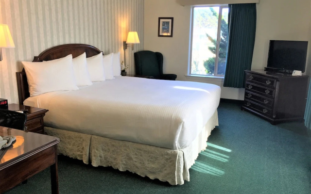 Comfort Suite