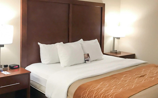 1 Bedroom Double Suite