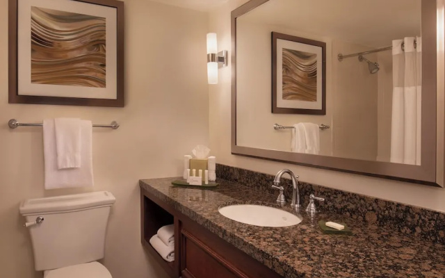 1 Bedroom Junior Suite