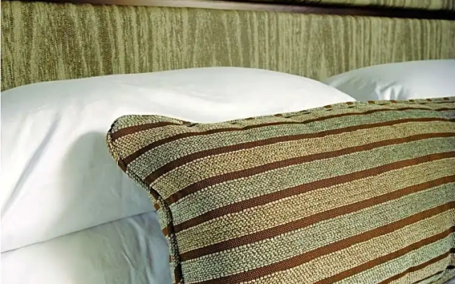 Superior Double Suite