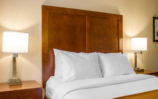 1 Bedroom Standard Double room
