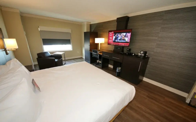 Standard Double room with view