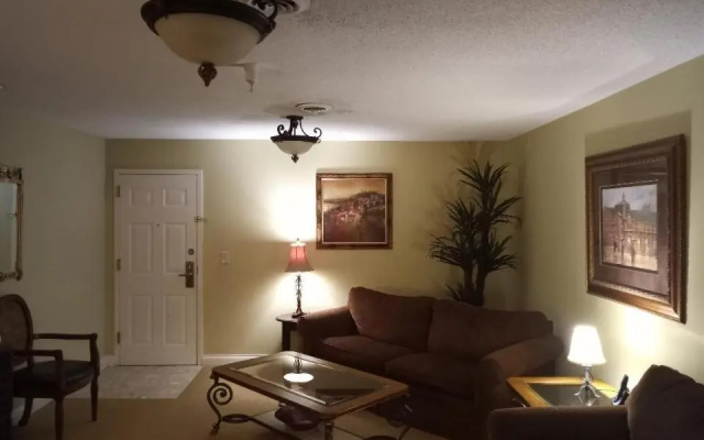 Deluxe Apartment