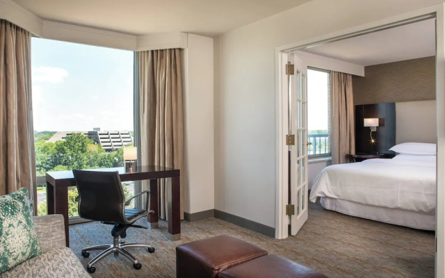 1 Bedroom Suite