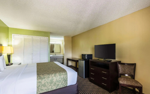 1 Bedroom Suite