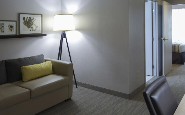 1 Bedroom Suite
