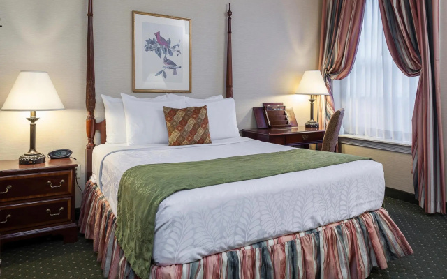 Premier room