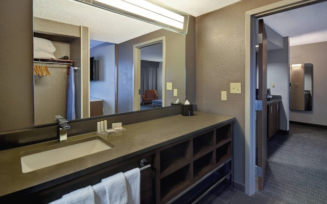 1 Bedroom Suite
