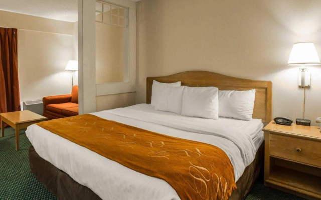 Standard Suite