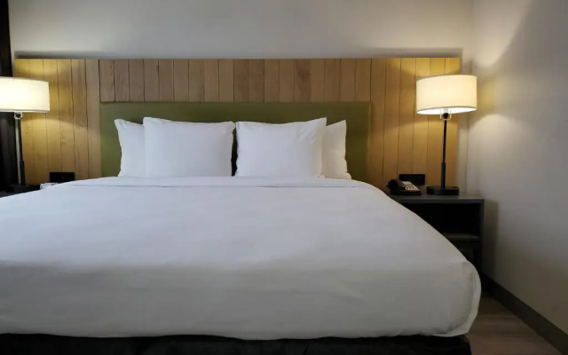 1 Bedroom Double Suite