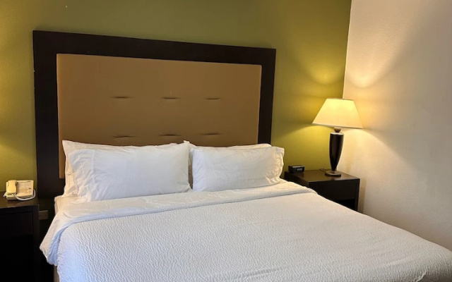 1 Bedroom Suite