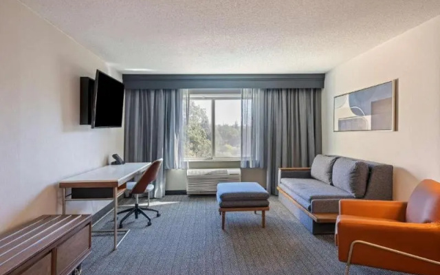 1 Bedroom Suite