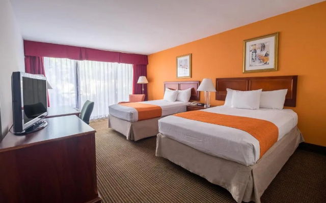 Quadruple Studio Suite
