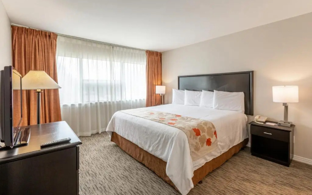 Deluxe Double Suite