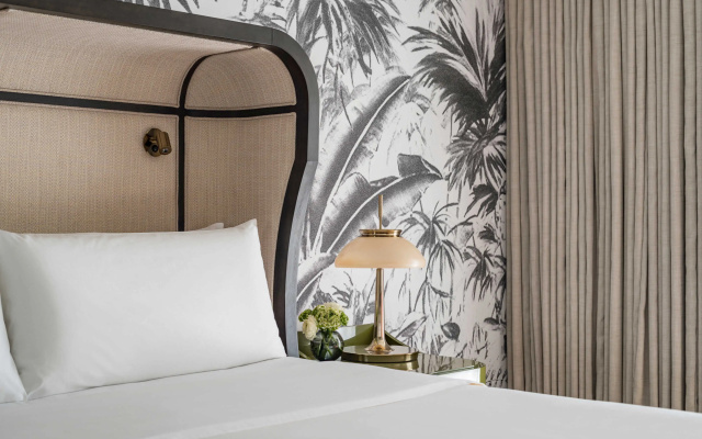 Premium Accessible Double Suite