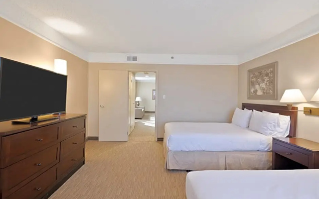 Standard Suite