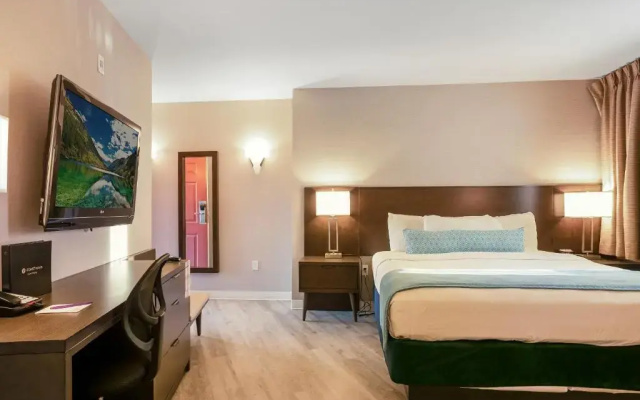 Comfort Single room