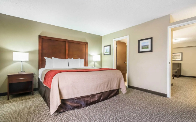 1 Bedroom Double Suite