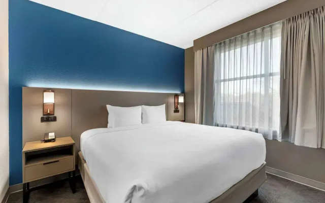 1 Bedroom Suite