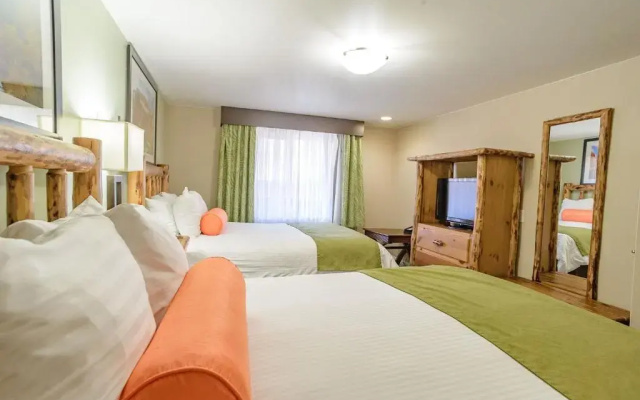 1 Bedroom Suite