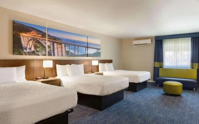 Standard Suite